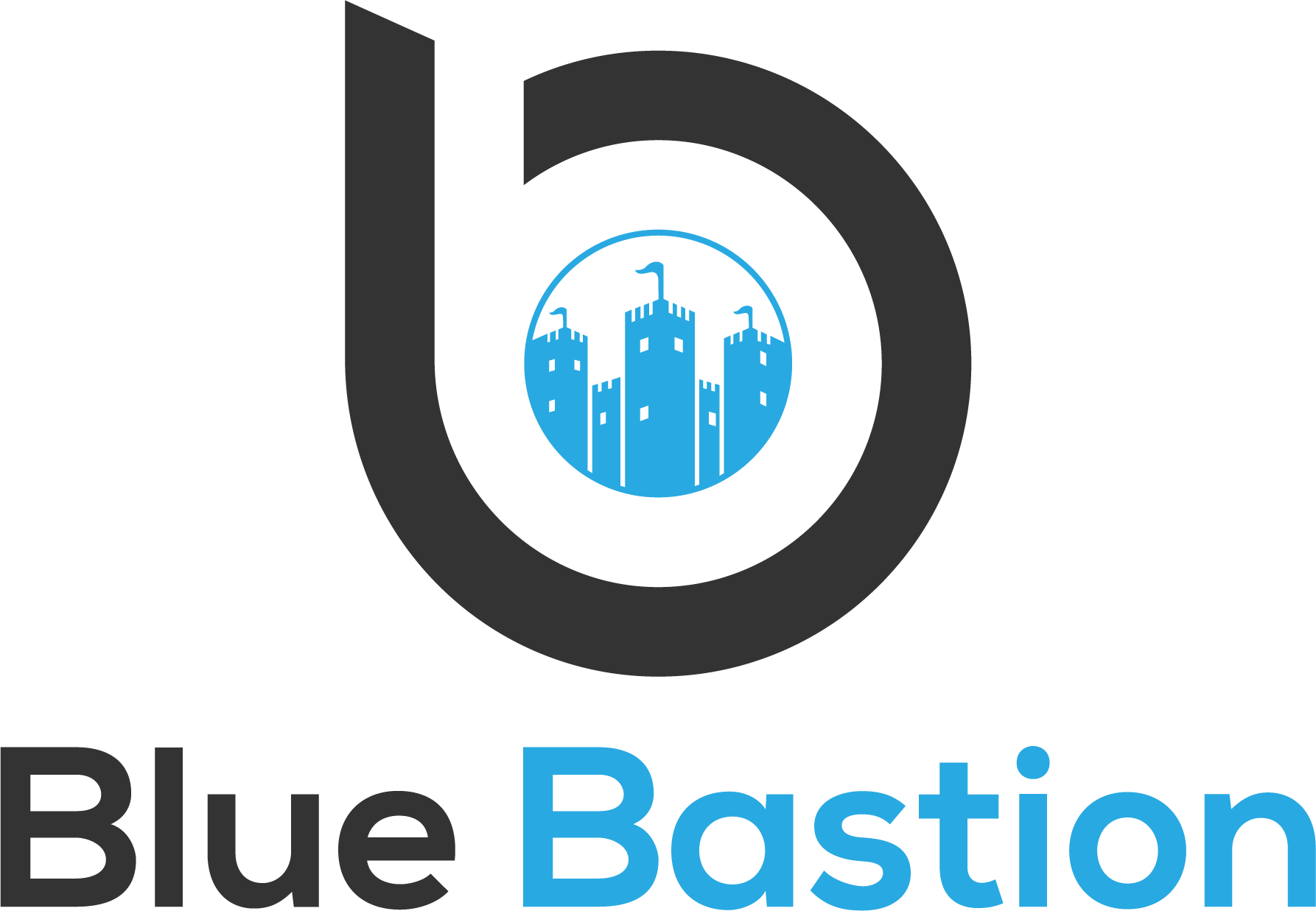 Blue Bastion Rvasec 13 Silver Sponsor Rvasec